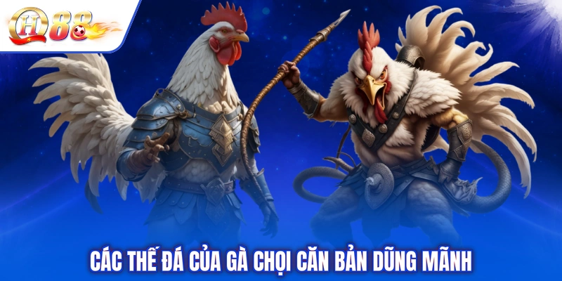 Các thế đá của gà chọi căn bản dũng mãnh
