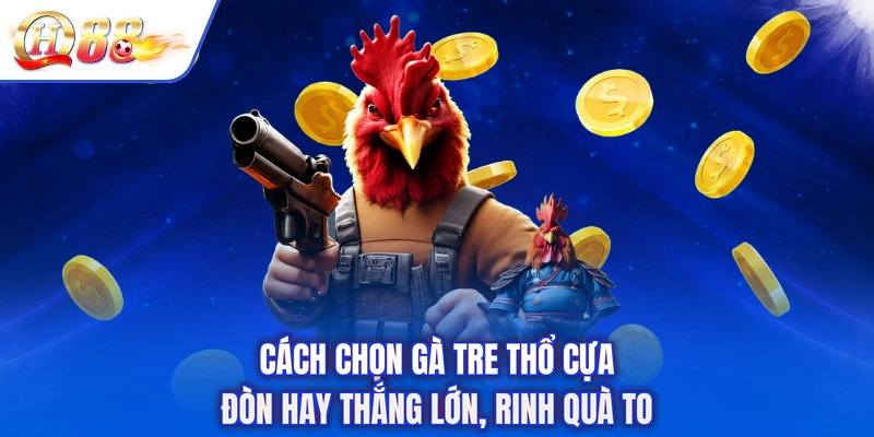 Cách Chọn Gà Tre Thổ Cựa - Đòn Hay Thắng Lớn, Rinh Quà To