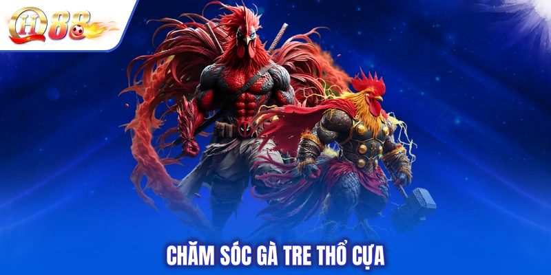 Chăm sóc gà tre thổ cựa