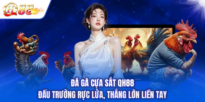 Đá Gà Cựa Sắt QH88 - Đấu Trường Rực Lửa, Thắng Lớn Liền Tay