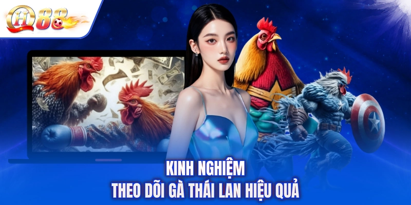 Kinh nghiệm theo dõi gà Thái Lan hiệu quả